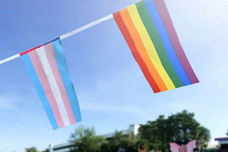 En transflagga och en prideflagga.